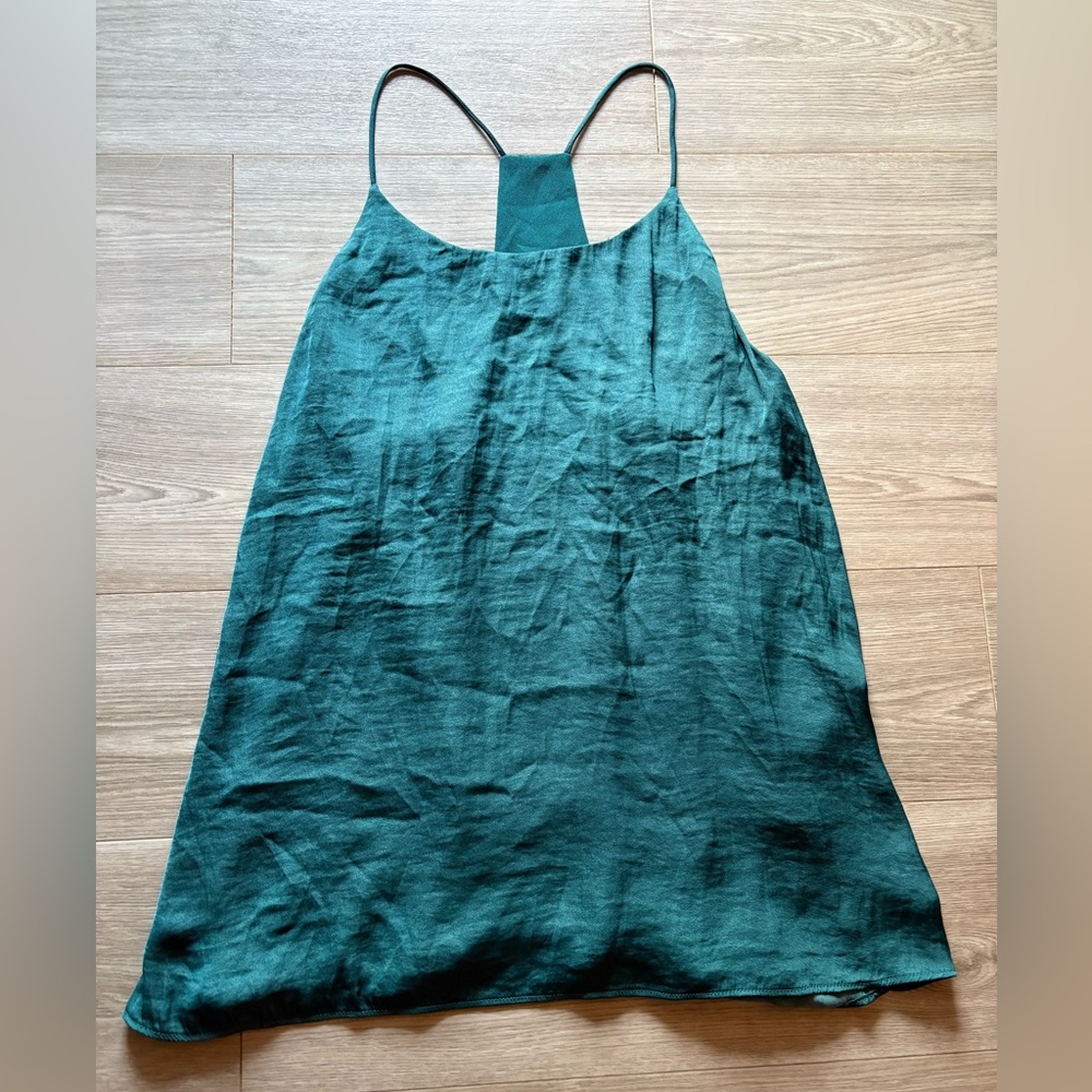 Naked Zebra Elegant Teal Women's Top